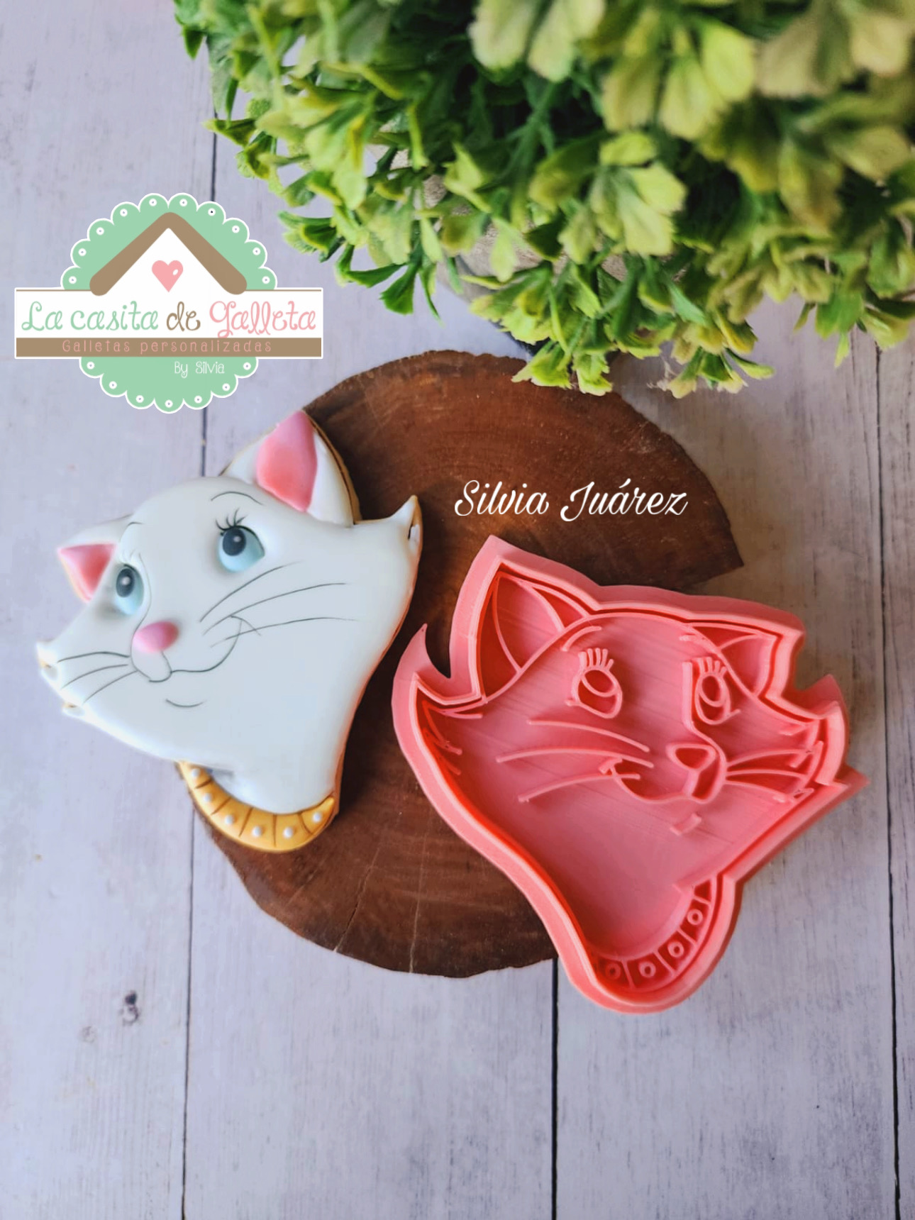 1208C28F-C51E-402A-84EB-4FC6BE652C55