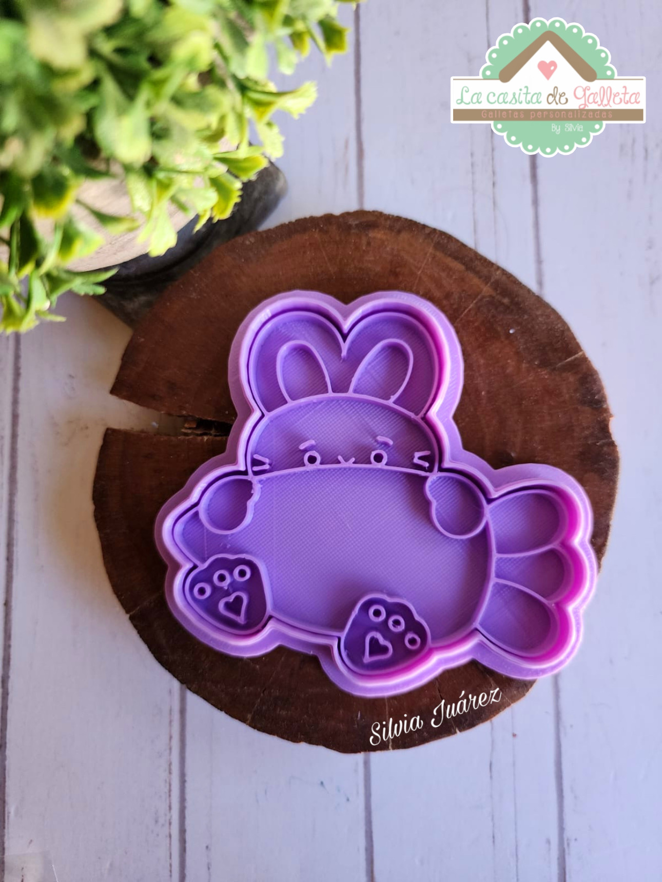 C0198662-A38E-40FD-91D3-198301E0F21A